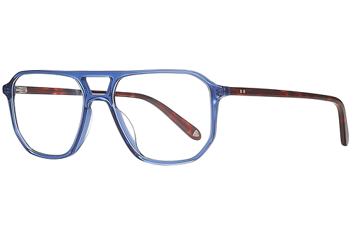 blau & gemustert
