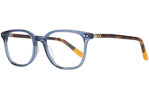 blau & gemustert