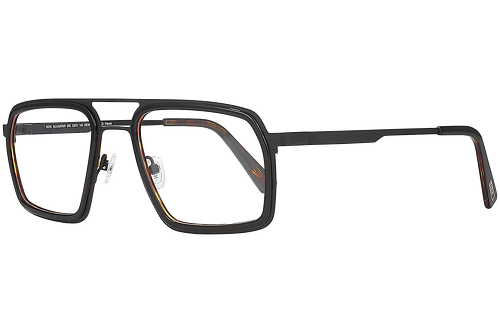 Black & Tortoise