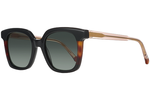 Black & Tortoise