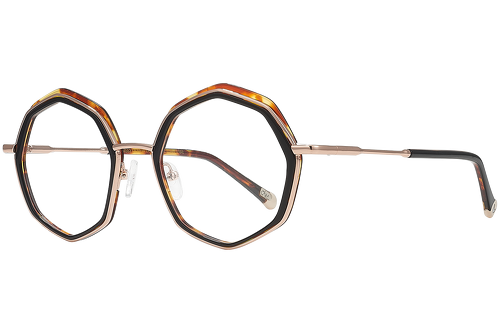 Black & Tortoise