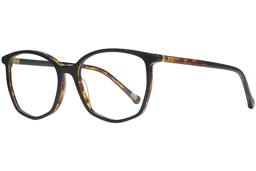 Black & Tortoise