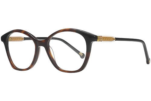 Black & Tortoise