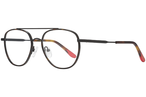 Black & Tortoise