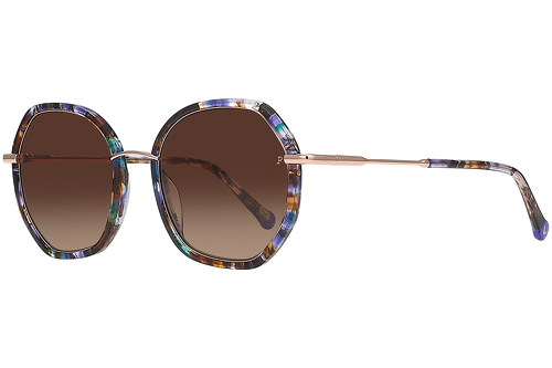 Farbiger Fliegenpilz