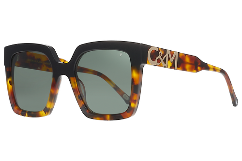 Black & Tortoise