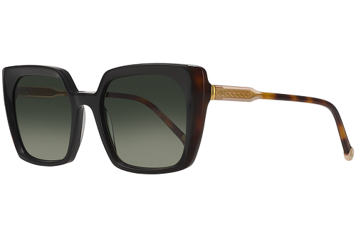 Black & Tortoise