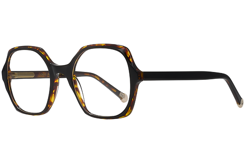 Black & Tortoise
