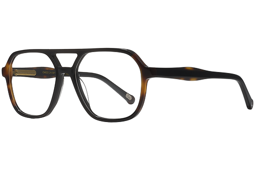 Black & Tortoise